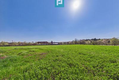 Teren intravilan 3024 mp, în comuna Almaș, Arad - 5