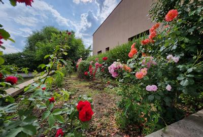 Casă cu 5 camere în Băneasa