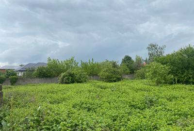 Comuna Islaz - teren 1374mp - canalizare - gaze - curent - asfalt - potential - 6