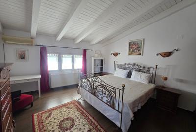 Vand casa P+M central - 6