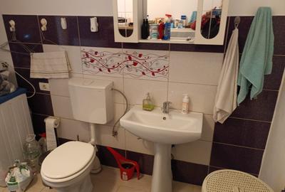 Duplex P+1+M de vanzare in Samurcasi, Crevedia, Buftea - 12