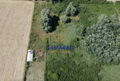 Teren de vânzare | Deschidere la Dunare | Băltenii de Sus, Com. Beștepe, Tulcea - 5