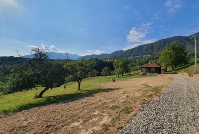 Teren rezidential zona Bran Tohanita zona de case - 4