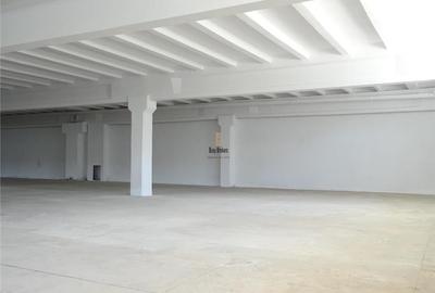 Spațiu industrial, 1000 mp în Central