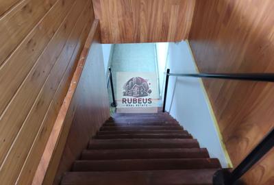 Proprietate langa Dunare – 3000 mp, priveliste si potential business - 29