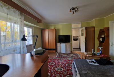 1 CAMERA - PACURARI - Moara de Foc - mobilat si utilat - - 1