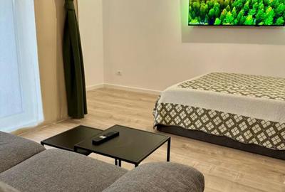 Garsoniera, 34 mp, centrala, balcon, curte proprie, Ghica Apartments - 2
