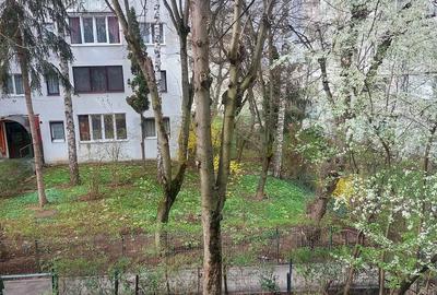 Apartament 2 camere, 39mp, recent renovat, etaj intermediar, zona Primaverii - 6