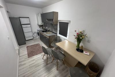 Casă cu 3 camere zona Faleză Nord, Renovată, Centrală pe gaz - 8