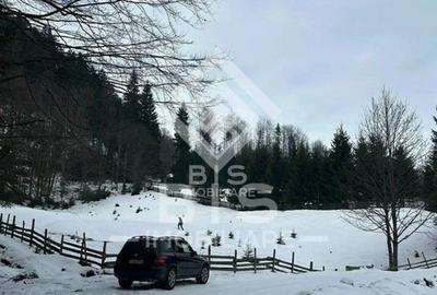 Teren intravilan parcelabil- Colibița, investitie - 4