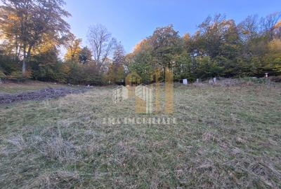 Teren intravilan Brasov Strada Ciresului 2900 mp - 6