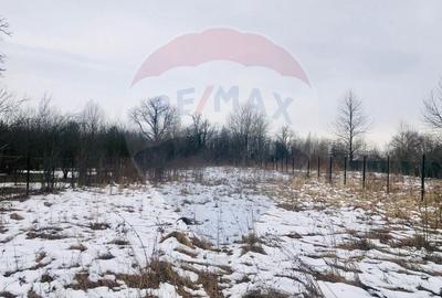 COMISION 0% | Teren 2,432mp | Cornu de Jos (Cornu)  Strada Florilor - 2