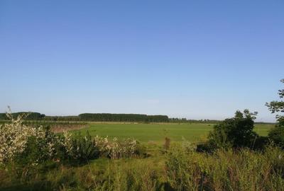 Teren intravilan de 2200 mp, în Chiscani