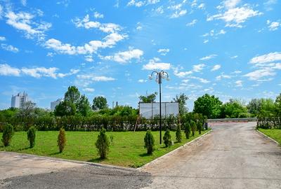 Steaua de Mare Nord 2