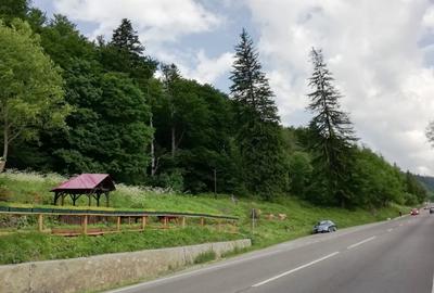 Teren Busteni, 3.999 mp, deschidere DN 1 aprox. 113 m, comision 0% - 1