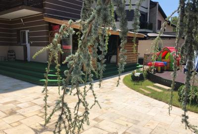 Casa individuala la 400m fata de Aparatorii Patriei - 24