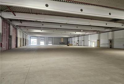 Spatiu Industrial - 9500 mp - Logistica - Productie - Depozitare - Distributie - 8