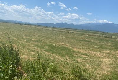 Teren Construcții intravilan de 1935 mp, în Glăjărie