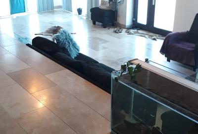 Casa la cheie mobilata si utilata la Stancesti - 1