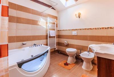 Hotel Bielmann,unicitate si profitabilitate optima in turism,Sanpetru, Brasov - 30