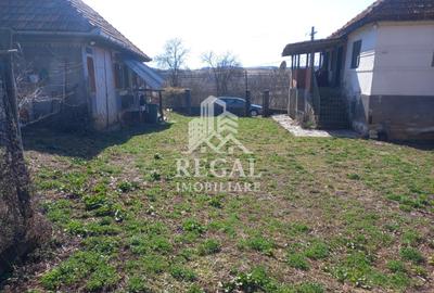 Două case de vânzare – Cerisor – teren generos 6996 mp - 12