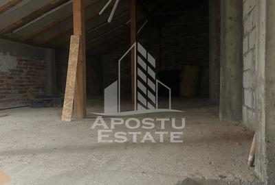 Casa unifamiliala în Timișoara,cu spațiul comercial - 9
