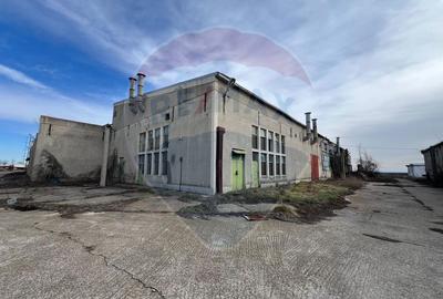 Spațiu industrial vinificatie Dobrinesti - 4