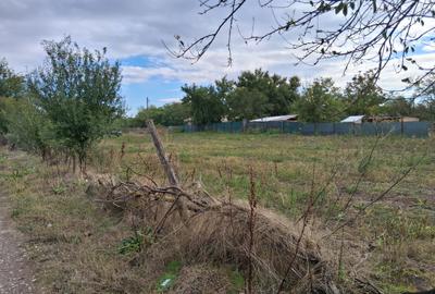 Teren 2262mp lac Dorobantu cu potențial pentru construcții - 3