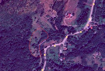 Teren de vis la munte – 7.795 mp – construibil – pârâu, pădure, fără vecini - 7