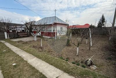 Casă / Vilă cu 3 camere de vânzare Fitionești - 10