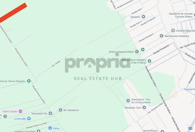 TEREN CU POTENȚIAL -LOCALIZAT LA INTERSECȚIA DRUMUL CU PLOPI -CASTELULUI -CRANGU - 2