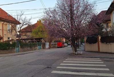 Resedinta deosebita,constr 2012,parc Carol 10min,7 camere,7 bai,2 locuri parcare - 24