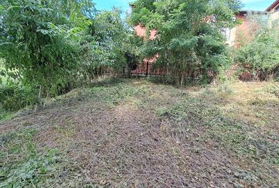 Teren pentru Casa/Duplex 1000mp Dambul Rotund/Cordos - 1