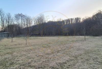 Teren intravilan pentru Casa de Vacanta - Mosoaia -Basangesti - 3