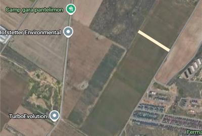 Dobroesti Teren 5.000 mp | Deschidere 20 ml | Urbanism de Informare - 1