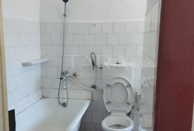 Apartament cu 1 Cameră și Curte – Gruia, Zonă de Case - 6