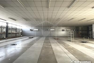Spațiu industrial, 786 mp în Central