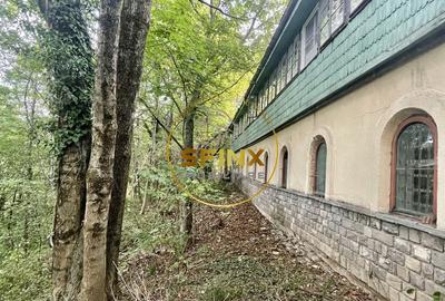 Vila Zoldy, 21.823 mp teren cu iesire catre paraul Prahova - 11