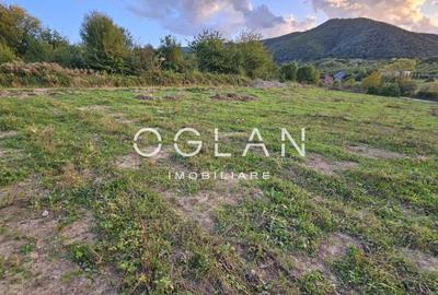 Teren cu PUZ si utilitati, Cisnadie, COMISION 0% - 1