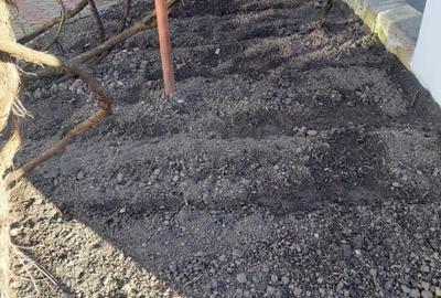 CASA  COMPLET PREGATITA PENTRU LOCUIT, CURATA COMPLET RENOVATA - 14