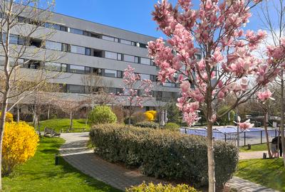 Apartament 3 camere 83mp SU totala -Atria - Sect 1 Lac Straulesti Sos. Chitilei - 15