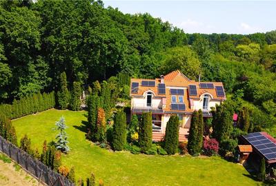 VIDEO | Domeniu privat la Padurea Noroieni | Vila D + P + M cu 9 camere | Curte, - 4