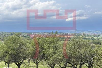 Teren  cu PUZ  Feleacu 2.800mp parcelabil/ 4 utilități asfalt panorama - 1