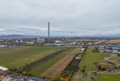 Teren industrial- Timișul Sec oportunitate investițională - 4