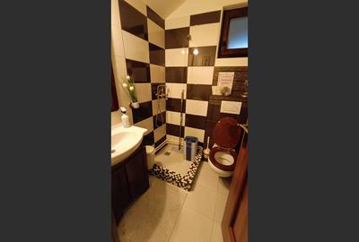 Spatiu comercial situat ultracentral, comision 0% - 11