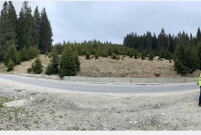 Teren intravilan pasune - zona Dichiu 5E - 1