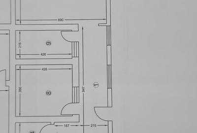 Casa mobilata P+M si teren 700mp in Poarta Alba - 15