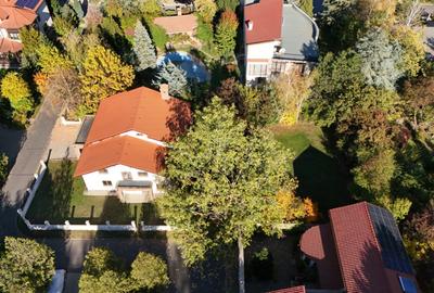 CORBEANCA-PARADISUL VERDE, VILA 507 MP, LOT 1.095 MP! - 43