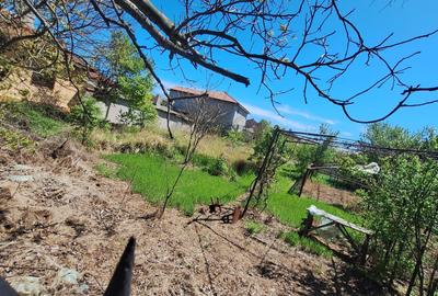 Oportunitate! Techirghiol, teren 923 mp., ideal constructie, investitie! - 8