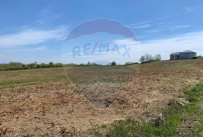 De vânzare teren intravilan 1,955mp , Paleu - 4